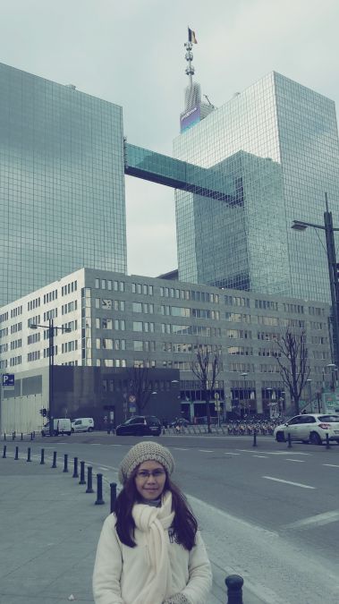 brussels north